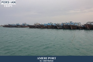 Ameri-Port1