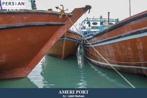 Ameri-Port2