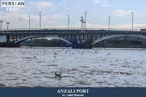 Anzali-port2
