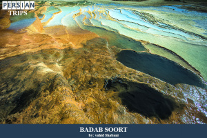 Badab-soort3