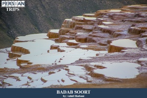 Badab-soort5