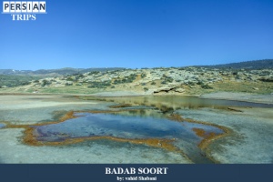 Badab-soort6