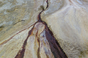 Badab-soort8