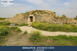 Bishapur-ancient-city4