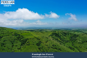 Fandogh-loo-Fores4