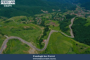 Fandogh-loo-Forest2