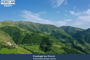 Fandogh-loo-Forest5