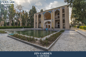 Fin-Garden1