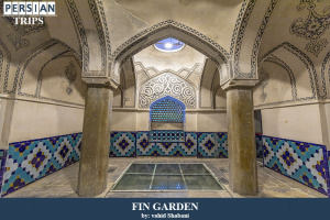 Fin-Garden2
