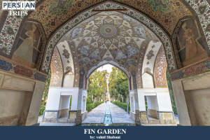 Fin-Garden3