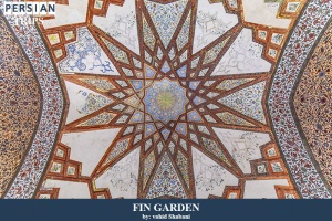 Fin-Garden4