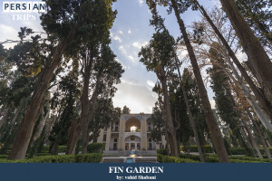 Fin-Garden5