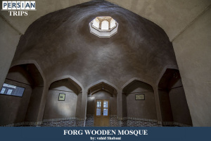Forg-wooden-school4