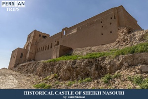 Historical-Castle-of-Sheikh-Nasouri1
