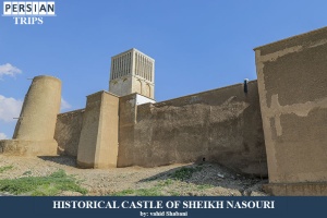 Historical-Castle-of-Sheikh-Nasouri2