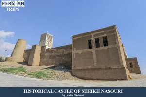 Historical-Castle-of-Sheikh-Nasouri3