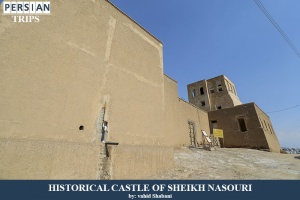 Historical-Castle-of-Sheikh-Nasouri4