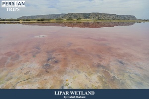 Lipar-wetland2