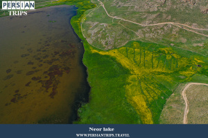 Neor-lake7