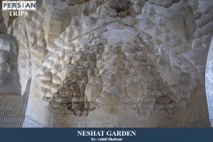 Neshat-garden1