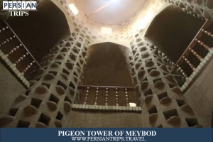 Pigeon-Tower-Of-Meybod1