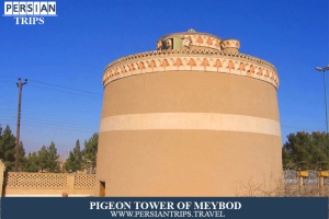 Pigeon-Tower-Of-Meybod2