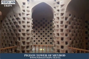 Pigeon-Tower-Of-Meybod3