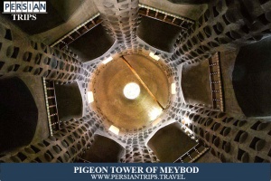 Pigeon-Tower-Of-Meybod4