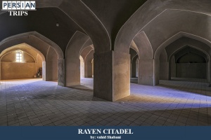 Rayen-citadel13