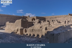 Rayen-citadel22