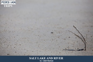 Salt-lake-and-river3