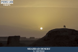 Shahdad6