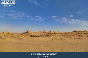 Shahdad9