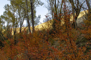 Shahrestanak-village7