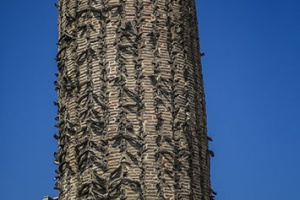 Shames-tabrizi-tomb3