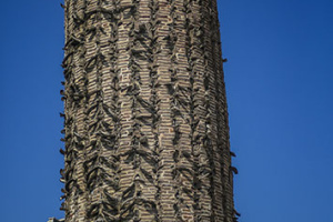 Shames-tabrizi-tomb3