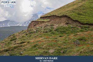 Shirvan-Dare2