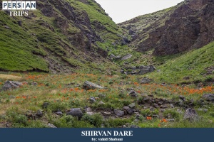 Shirvan-Dare3