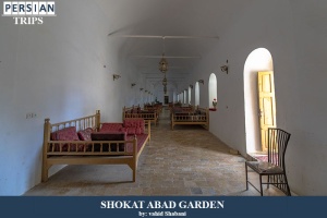 Shokat-Abad-garden9
