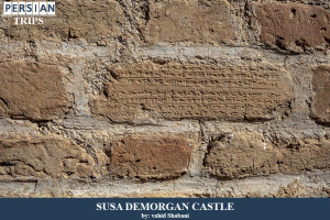 Susa-Demorgan-castle7