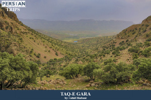 TAGE-GARA3