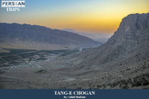 Tange-chogan4