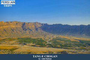 Tange-chogan5