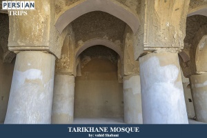 Tarikhane-mosque5