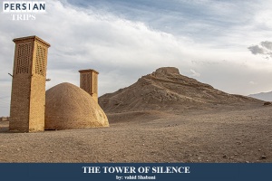 The-tower-of-silence1