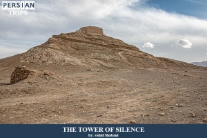 The-tower-of-silence2