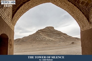 The-tower-of-silence3
