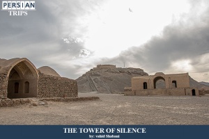 The-tower-of-silence4