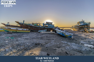 Tiab-wetland10