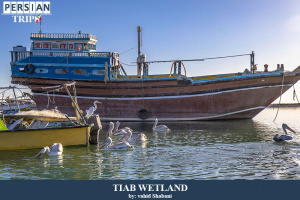 Tiab-wetland11
